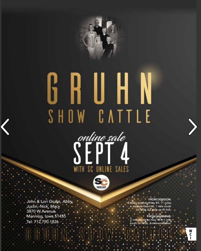 Gruhn’s show Cattle Show Circuit Online Sales 9.4.19 Lautner Farms