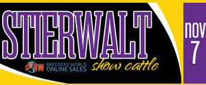 1113banner_stierwalt