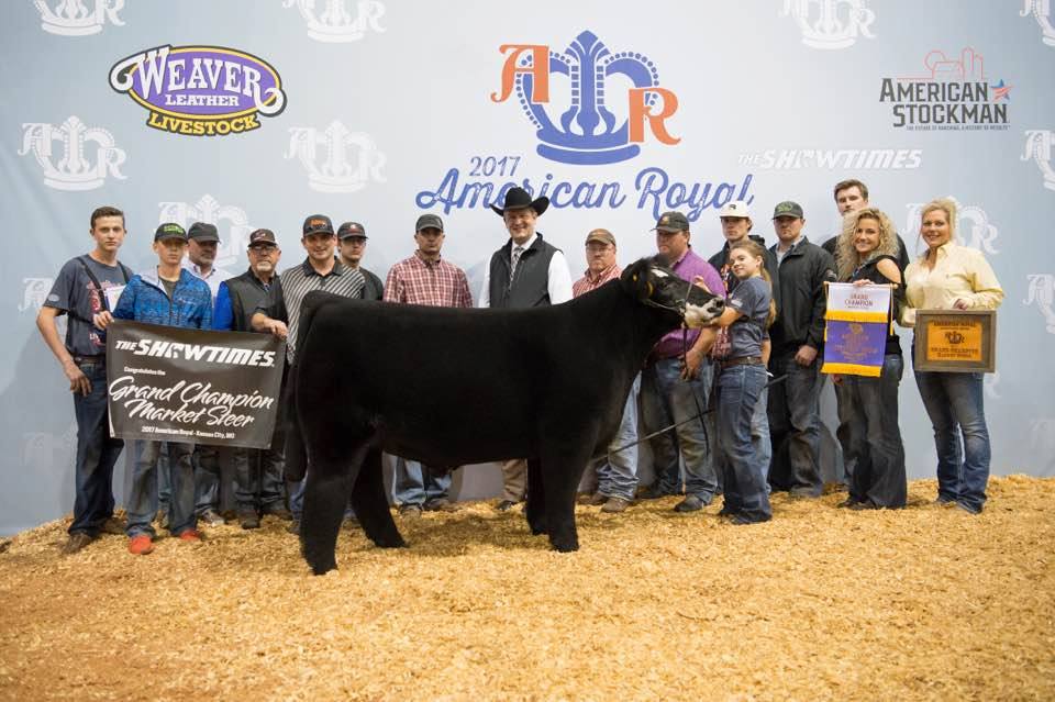 American Royal Grand Champion Steer sells for 220,000 Lautner Farms