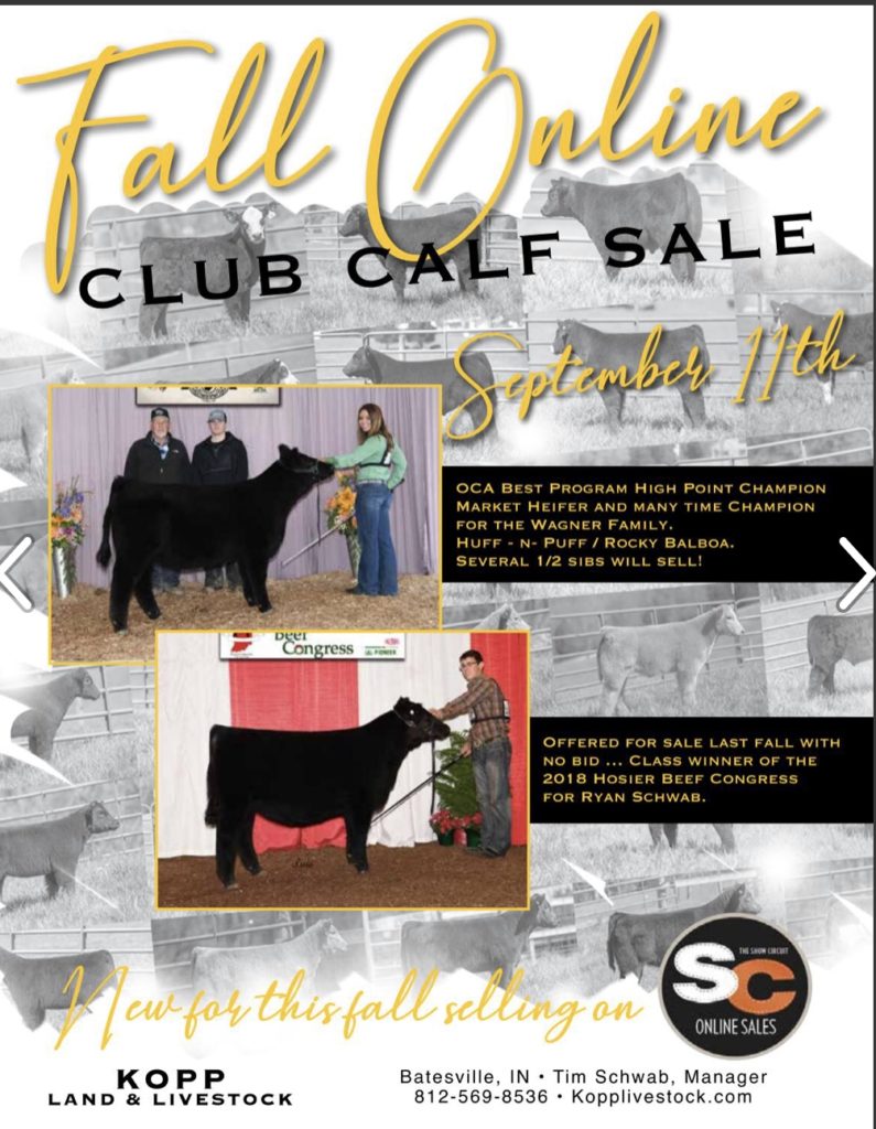 Kopp Land and Cattle Show Circuit Online Sales 9.11.19 Lautner Farms