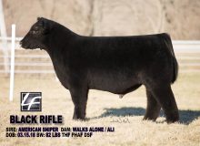 Black Rifle