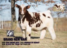 Brand New Man