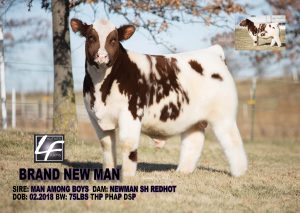 Brand New Man