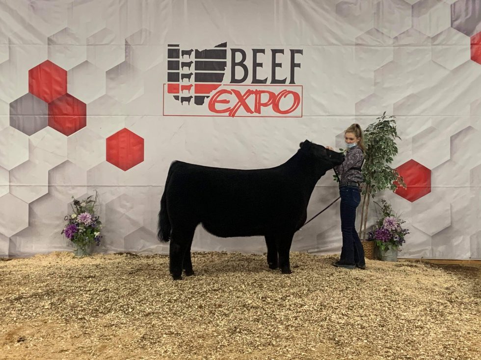 Grand champion market beef jr fair butler County Ohio 2021Grand champion open market beef show