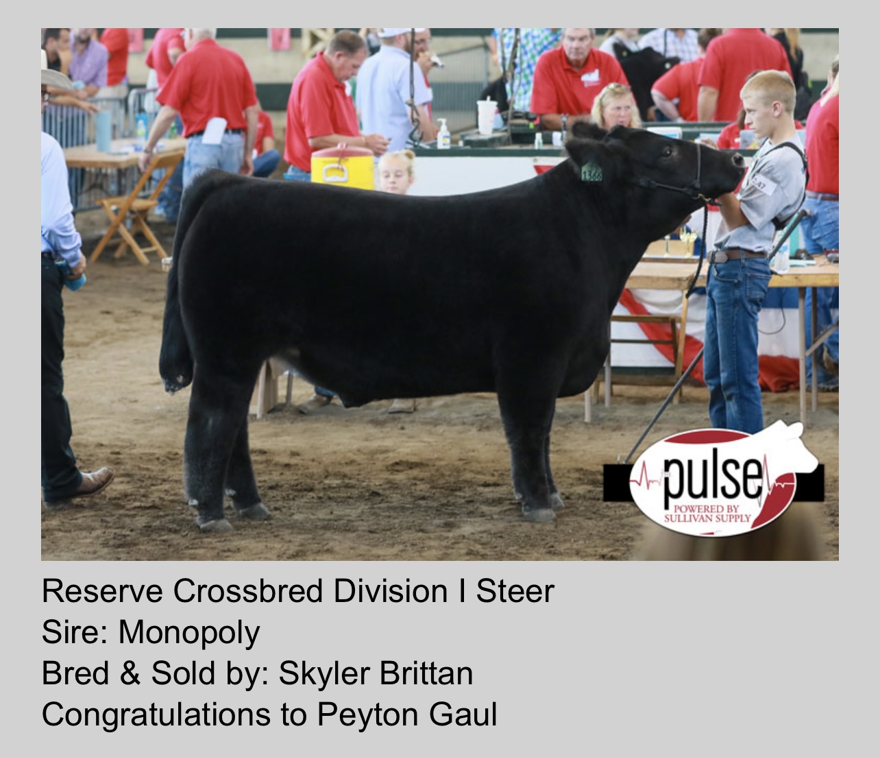 Iowa State Fair Schedule Today