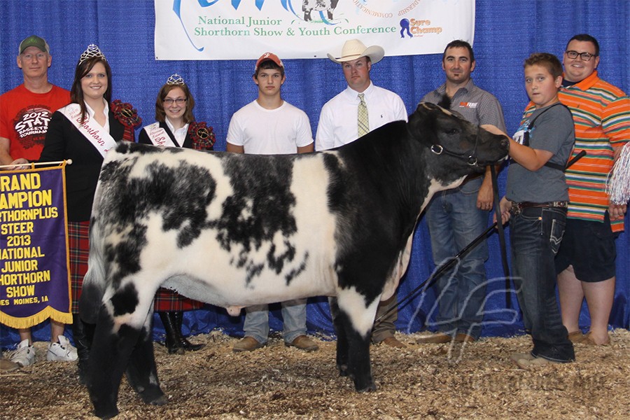 Grand Champion ShorthornPlus Steer, 2013 Shorthorn Jr National