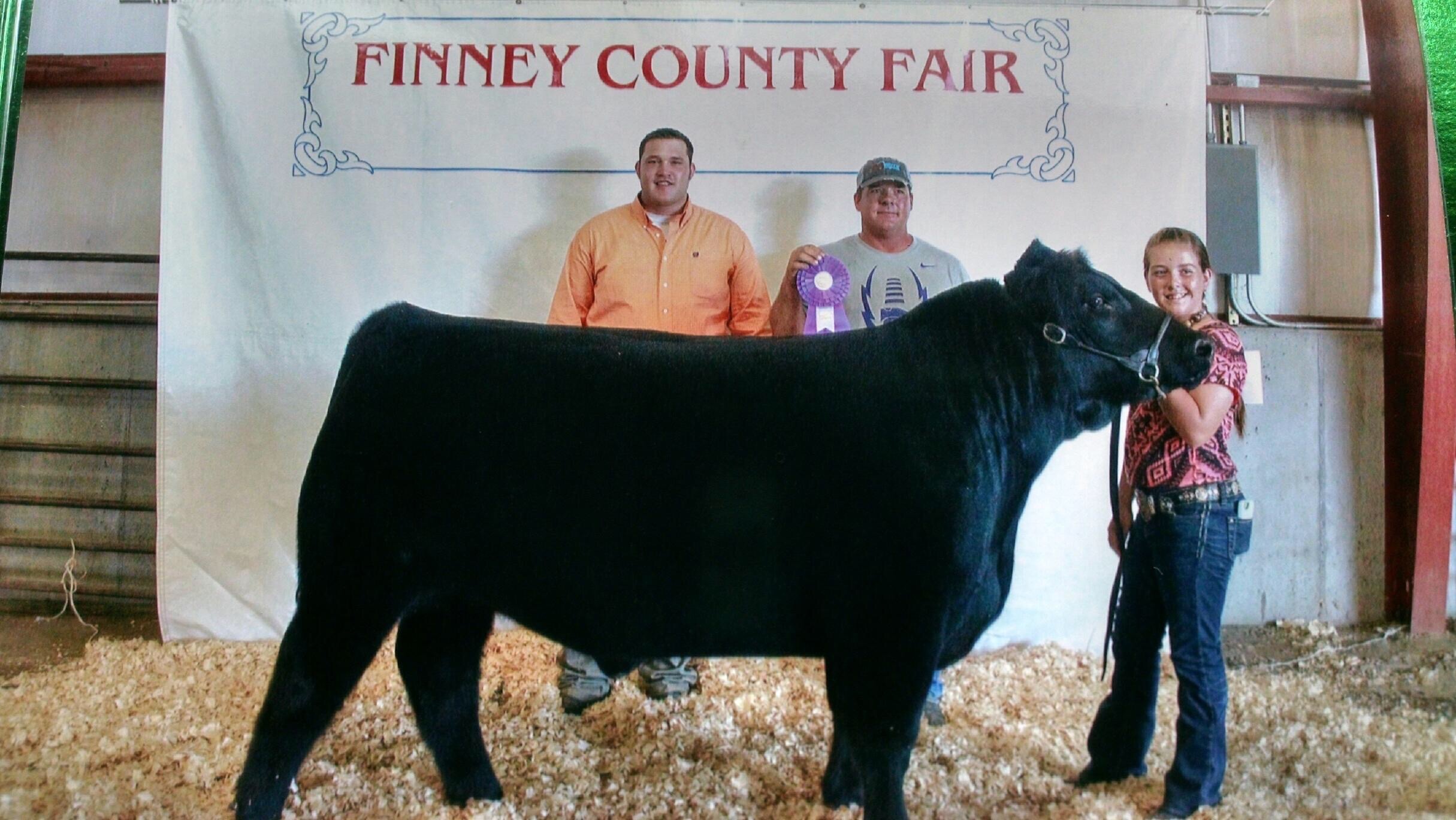 Grand Champion Market Steer 1 338 Lbs2015 Finney County Fair