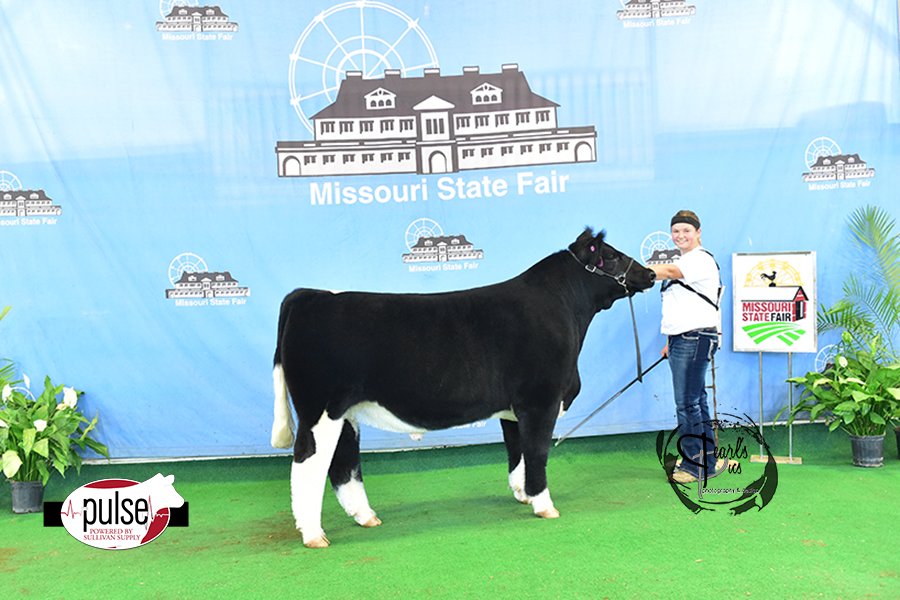 Missouri State Fair Market Beef Maintainer Steers Grand Champion FFA
