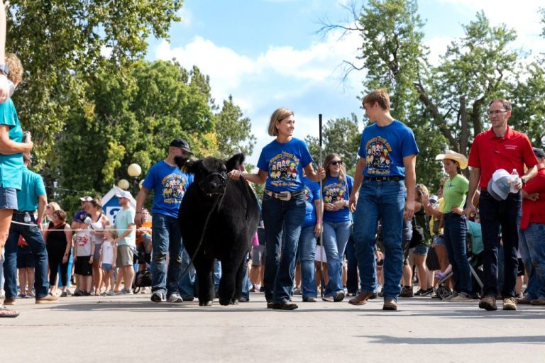 Showing Steers For A Greater Cause at the Iowa State Fair2022 IOWA