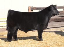 Smithbilt