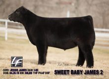 Sweet Baby James 2