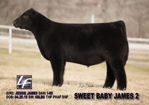 Sweet Baby James 2