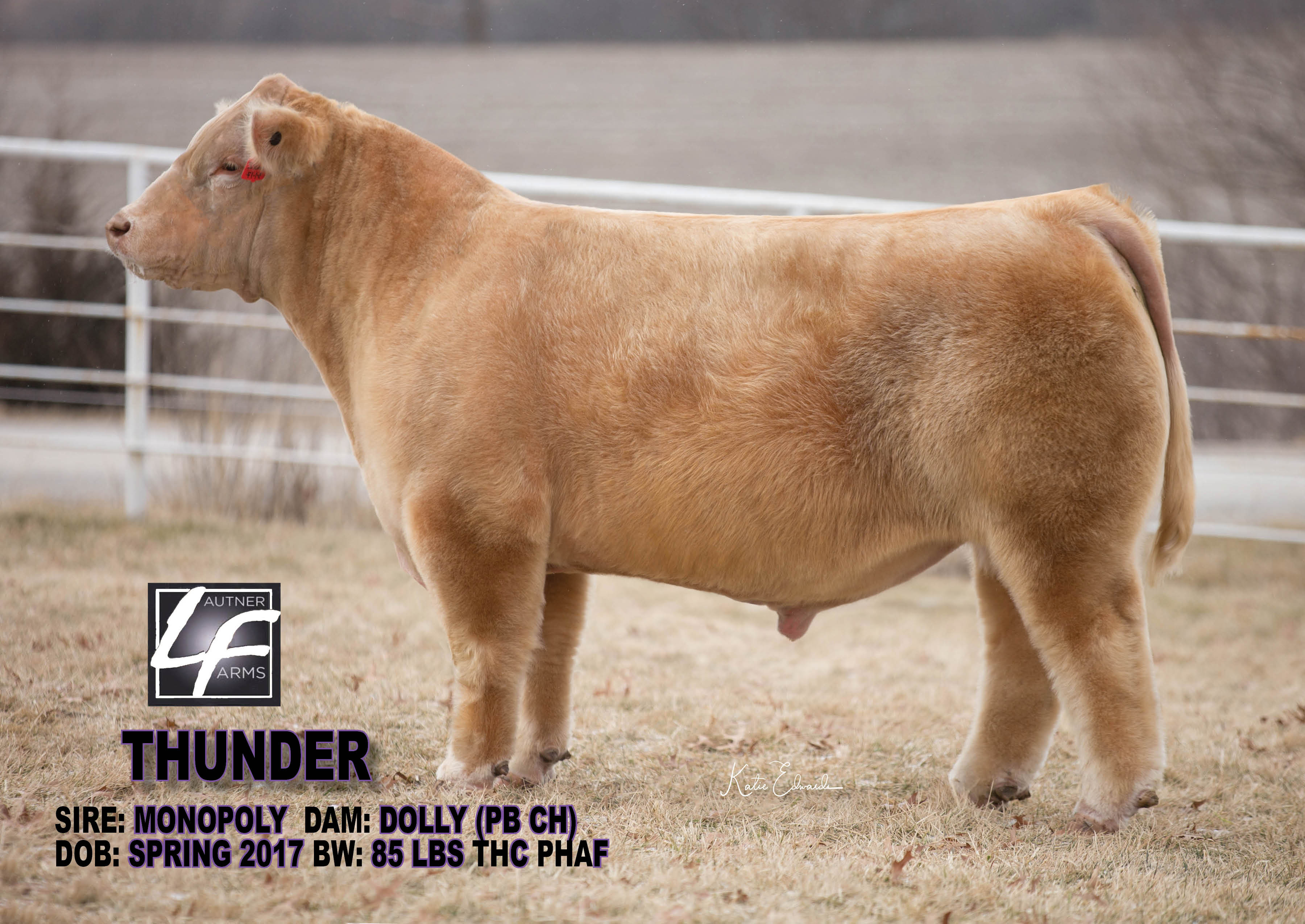 Thunder Lautner Farms