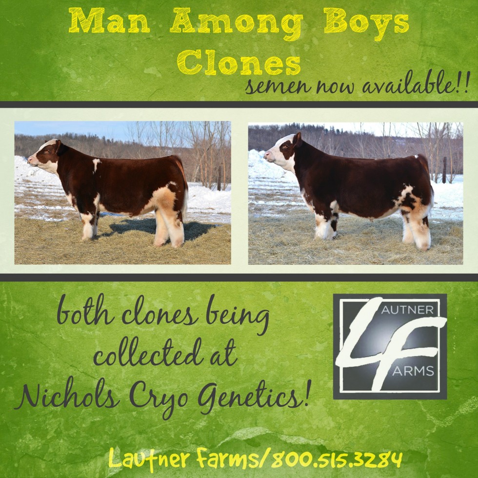 Semen Available on both MAB Clones ready to be shipped! Clones now