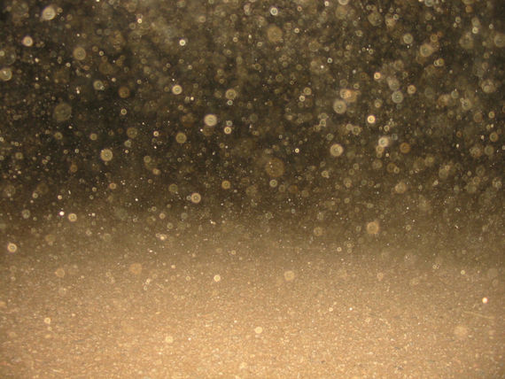 dustparticles