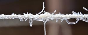 frozen-rope-ice