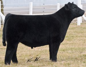 I-80 FULL BROTHER