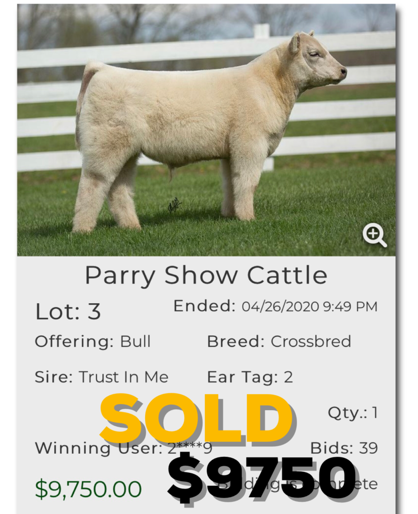 Parry Show Cattle Sales TRUST IN ME sired calf for 9,750 Lautner Farms