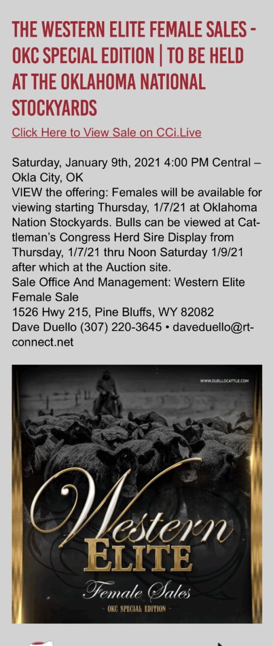 Western Elite Female SalesOKC Saturday Jan. 9th 400 PM Lautner Farms
