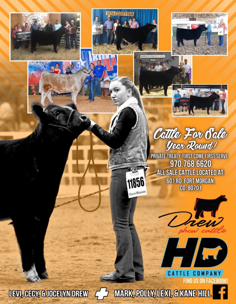 Drew Show Cattle, Fort Morgan, CO | Private Treaty Cattle available ...