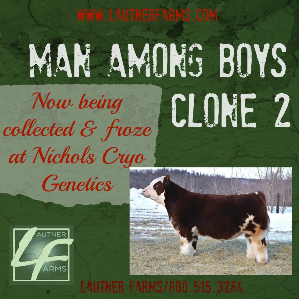 MAB Clone 1 &2 now being collected and froze at Nichols Cryo