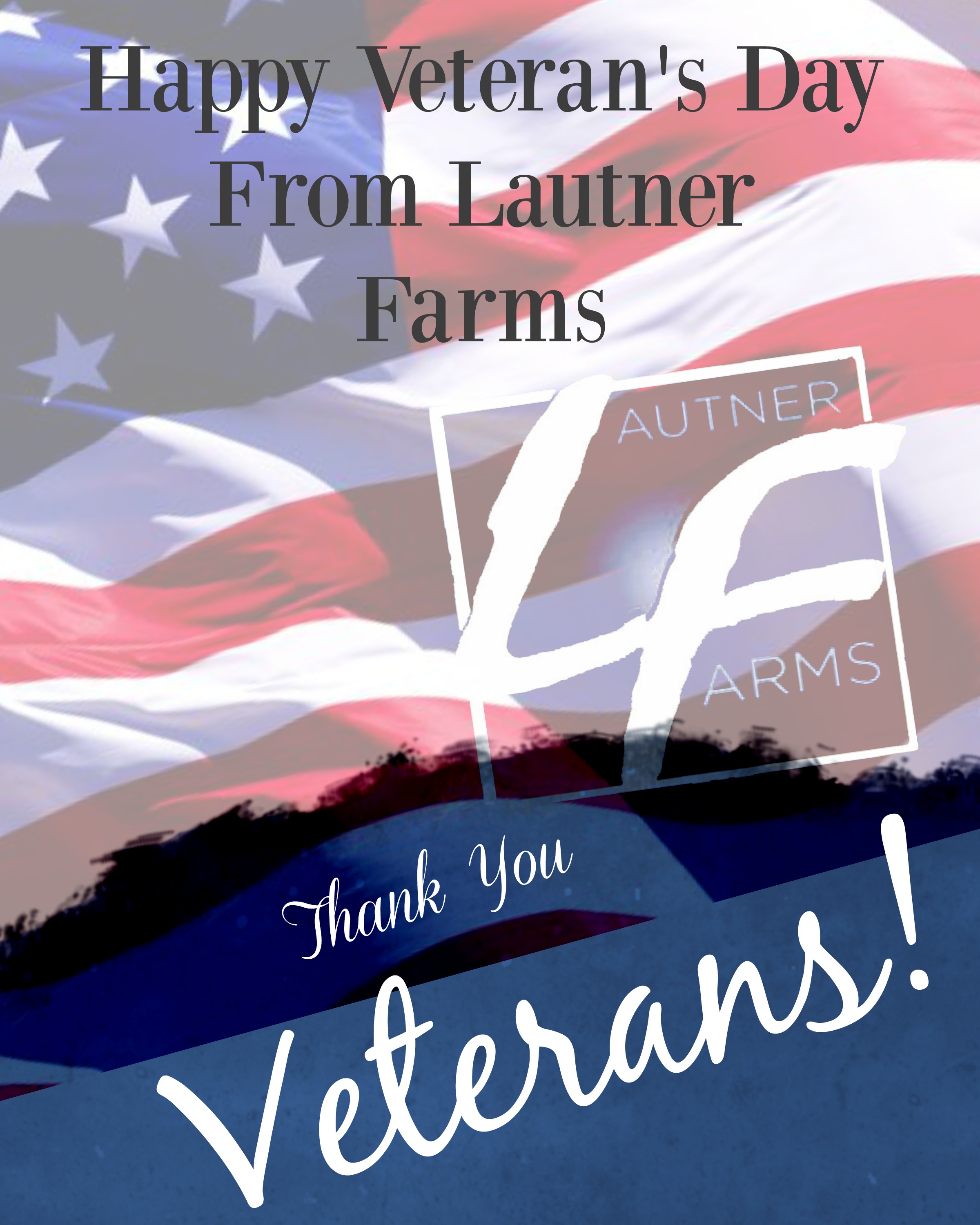 veterans day